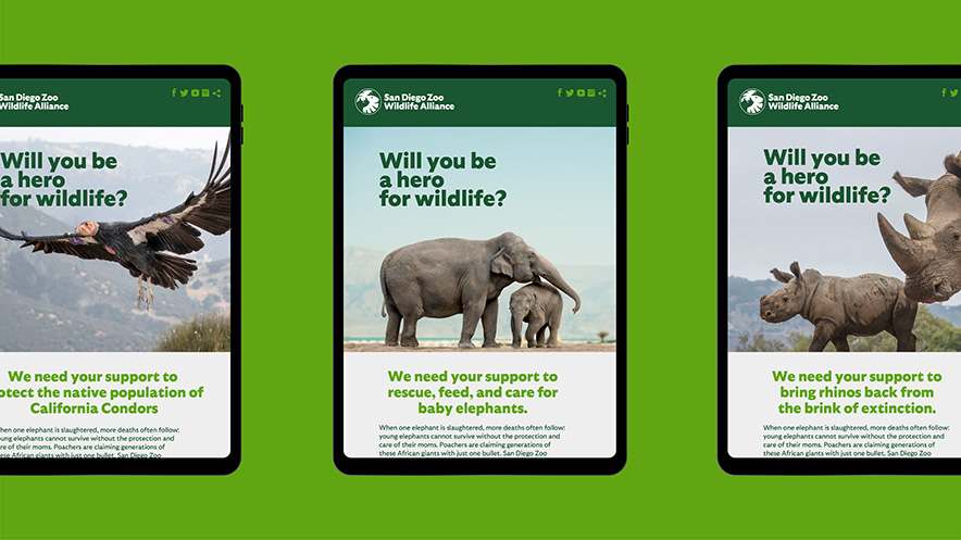 圣迭亞哥(San-Diego-Zoo)動物園官網展示在平板電腦.jpg