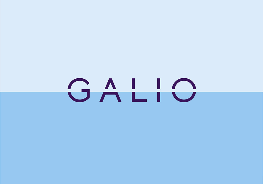 Galio集團(tuán)國際房產(chǎn)vi設(shè)計-房產(chǎn)開發(fā)公司logo設(shè)計賞析-探鳴品牌VI設(shè)計公司.jpg