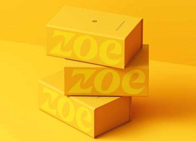 國外優(yōu)秀vi手冊設計-英國營養(yǎng)餐公司Zoe更新logo和VI視覺.png